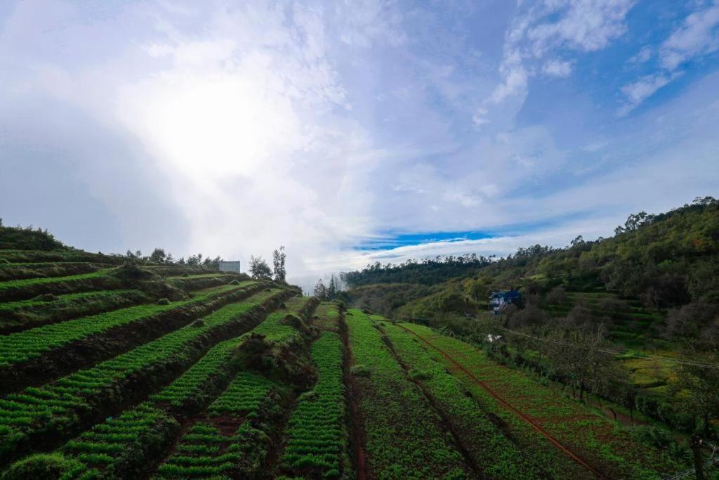 Starlight Hotels Kodai Kodaikanal Kültér fotó