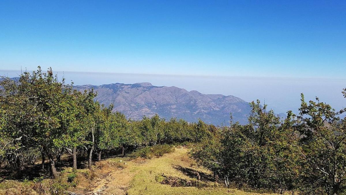 Starlight Hotels Kodai Kodaikanal Kültér fotó
